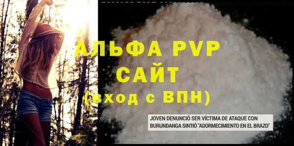 прущие крисы Бородино
