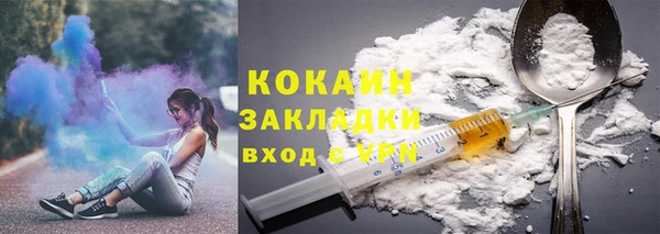 прущие крисы Бородино