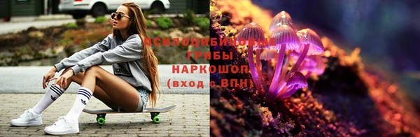 молекула духа Верея